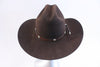 Stetson 6X Beaver Fur Cowboy Hat